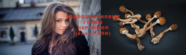 винт Балахна